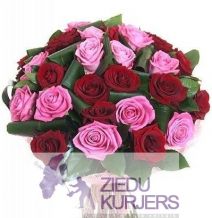 Sarkanas un rozā rozes: Красные и  Розовые розы: Red and pink roses. gab. 89.00 €