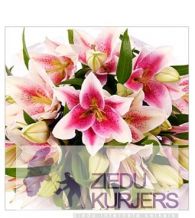 Rozā lilijas:Розовые лиллий: Bouquet 19. шт. 25.00 €