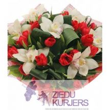 Ziedu pušķsi ar orhidejām un tulpēm: Букет 81: Bouquet 81. cnt. 46.00 €
