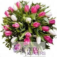 Pavasara pušķis nr 1: Весенний букет 1: Spring flower bouquet 1. gab. 58.00 €