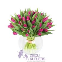 Pavasara pušķis nr 15: Весенний букет 15: Spring flower bouquet 15. gab. 95.00 €