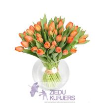 Pavasara pušķis nr 16: Весенний букет 16: Spring flower bouquet 16. cnt. 95.00 €