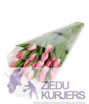 Pavasara pušķis nr 30: Весенний букет 30: Spring flower bouquet 30. cnt. 46.00 €
