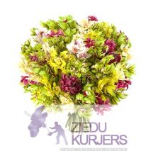 VIP Ziedu Pušķis nr 12: VIP Букет Цветов нр 12: VIP Flower Bouquet 12. шт. 465.00 €