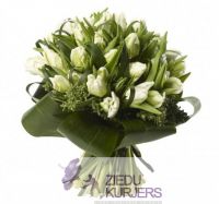 Pušķis no gaišas krāsas tulpēm: Букет из светлые тюлпаны: Bouquet 54. шт. 52.00 €