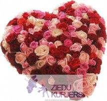 Ziedu sirds no sarkanām un rozā rozēm: Сердца из цветов 9: Flower heart 12. шт. 145.00 €