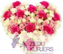Rožu sirds no rozā rozēm un sīkziedu rozēm: Сердца pозовых роз 3: Rose heart 5. cnt. 115.00 €